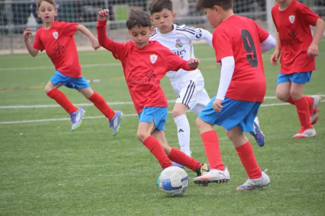 ÍscarCup 2026 photo (8)