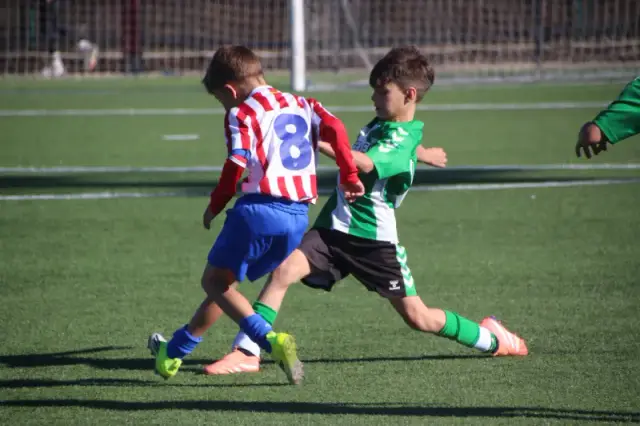 ÍscarCup 2026 photo (17)